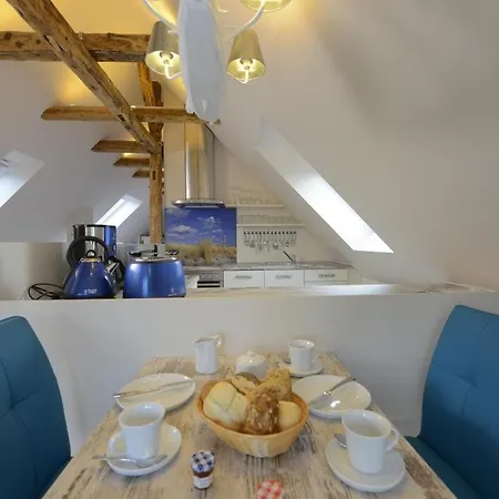 Muschel Whg Schildkroete *