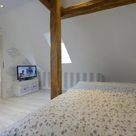 Muschel Whg Schildkroete Apartment