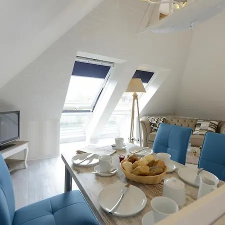 Muschel Whg Schildkroete