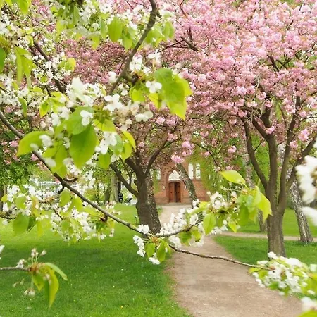 Διαμέρισμα Muschel Whg Schildkroete