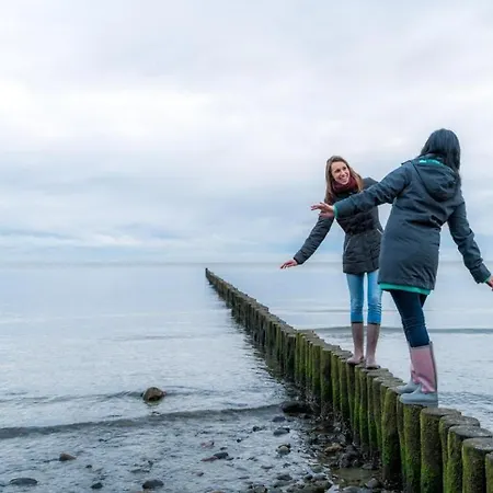 Muschel Whg Schildkroete Boltenhagen (Ostseebad)