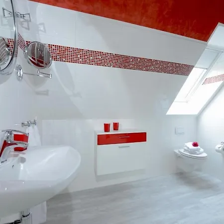 Muschel Whg Schildkroete *