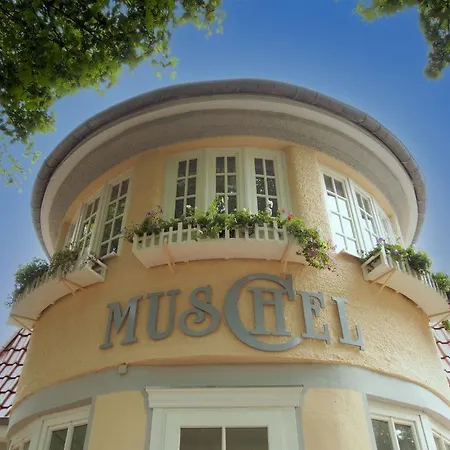 Muschel Whg Schildkroete * Boltenhagen (Ostseebad)