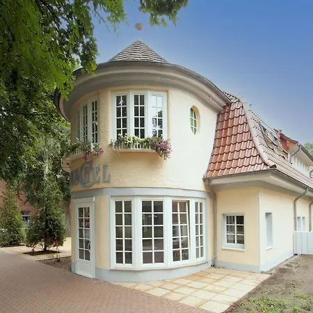 Muschel Whg Schildkroete *