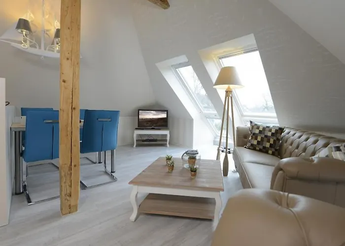 Muschel Whg Schildkroete בולטנהאגן