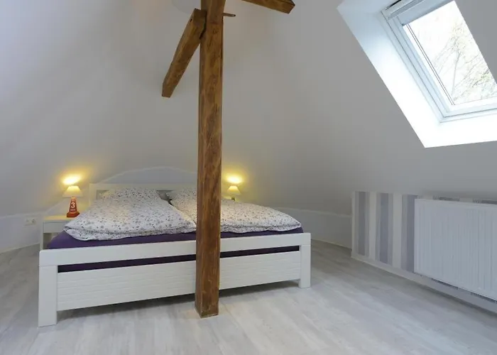 Muschel Whg Schildkroete *