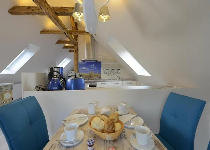 Muschel Whg Schildkroete *