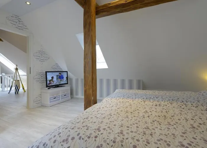 Muschel Whg Schildkroete דירה