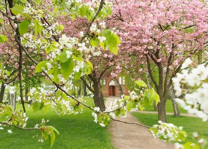 דירה Muschel Whg Schildkroete