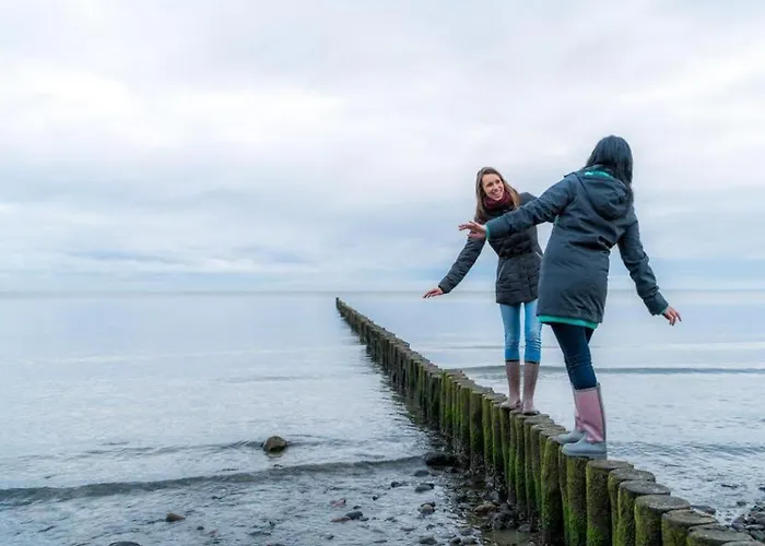 Muschel Whg Schildkroete בולטנהאגן