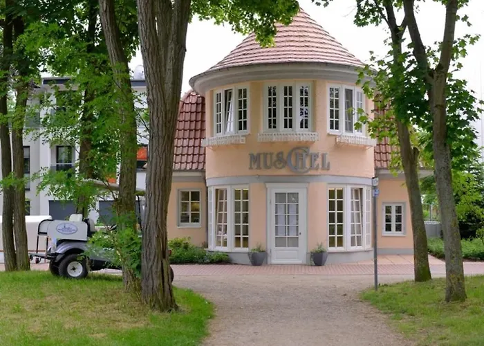 Muschel Whg Schildkroete