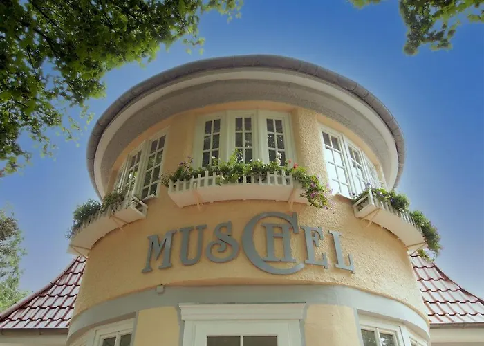 Muschel Whg Schildkroete * בולטנהאגן