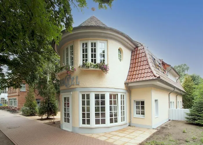 Muschel Whg Schildkroete *